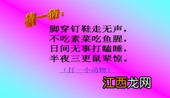 猫课文的阅读感想 猫课文的阅读感想是什么