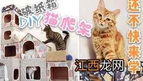 简便的猫窝怎么做 几大步骤做出简便的猫窝