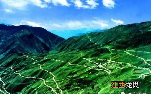 高黎贡山茶叶怎么样