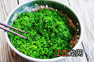 茴香苗水饺放什么