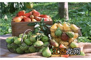 世界上有什么水果 水果大全