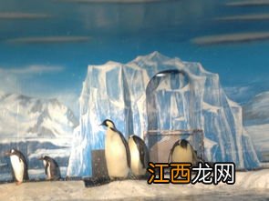 海的女儿是哪个城市 海的女儿介绍