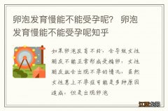 卵泡发育慢能不能受孕呢？ 卵泡发育慢能不能受孕呢知乎