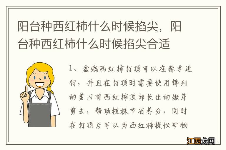 阳台种西红柿什么时候掐尖，阳台种西红柿什么时候掐尖合适