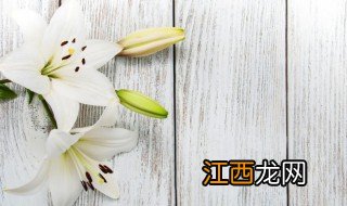 家里适合养百合花吗，家里适合养百合花吗吉利吗