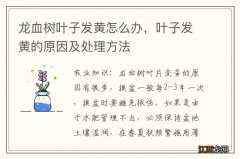 龙血树叶子发黄怎么办，叶子发黄的原因及处理方法