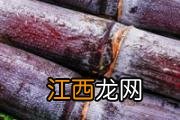 凡士林儿童可以涂嘴唇吗 凡士林可以治疗湿疹吗
