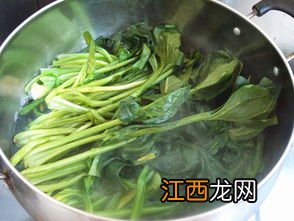 菠菜粉可以用来做什么