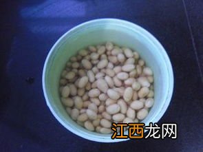 大米做豆浆要泡多久