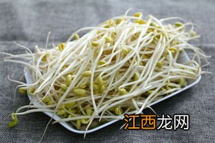 吃绿豆芽多久后能吃药