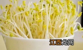 吃绿豆芽多久后能吃药