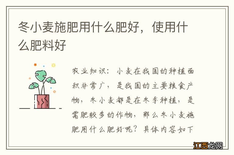 冬小麦施肥用什么肥好,使用什么肥料好