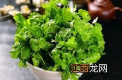 菜夏天可以保存多久