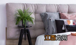 卧室适合养龙柳干枝吗风水好吗 卧室适合养龙柳干枝吗