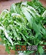 苦苣菜怎么吃法