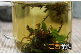 苦菜怎么做茶泡水喝