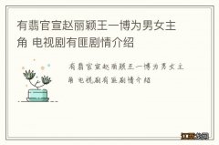 有翡官宣赵丽颖王一博为男女主角 电视剧有匪剧情介绍