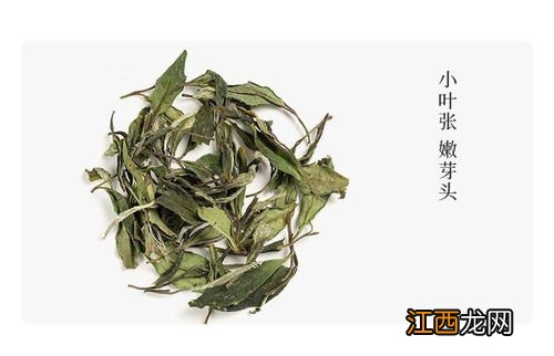 福鼎白茶生茶怎么保存