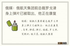 俄媒：俄航天集团前总裁罗戈津身上弹片已被取出，他正在康复