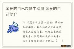 亲爱的自己袁慧中结局 亲爱的自己简介