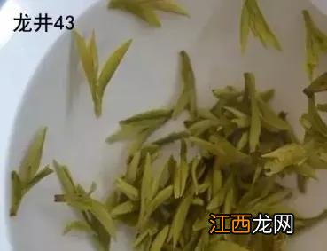 龙井茶怎么只有叶子