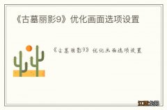 《古墓丽影9》优化画面选项设置