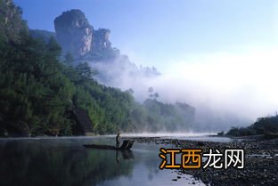 怎么好茶都在武夷山