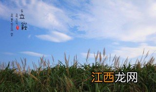 在南方立秋吃什么 南方方立秋吃什么传统食物