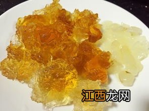 雪莲子得泡多久