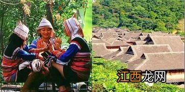 山上的音乐，基诺族音乐文化