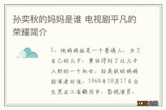 孙奕秋的妈妈是谁 电视剧平凡的荣耀简介