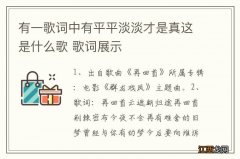 有一歌词中有平平淡淡才是真这是什么歌 歌词展示