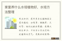 家里养什么水培植物好，水培方法整理