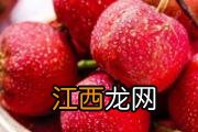 山药发苦吃了会中毒吗 山药不能和什么一起吃