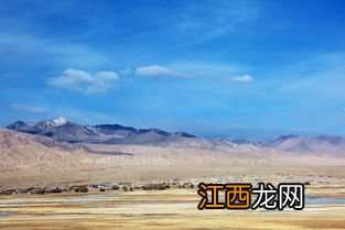 鹰在塔吉克族传统文化中具有特殊作用