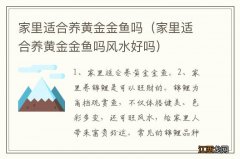 家里适合养黄金金鱼吗风水好吗 家里适合养黄金金鱼吗