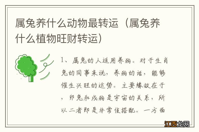 属兔养什么植物旺财转运 属兔养什么动物最转运