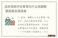 且听凤鸣中左青鸾为什么找朝歌 原因其实很简单