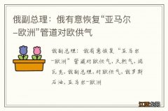 俄副总理：俄有意恢复“亚马尔-欧洲”管道对欧供气