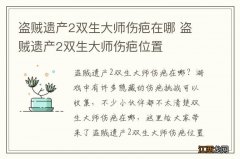 盗贼遗产2双生大师伤疤在哪 盗贼遗产2双生大师伤疤位置