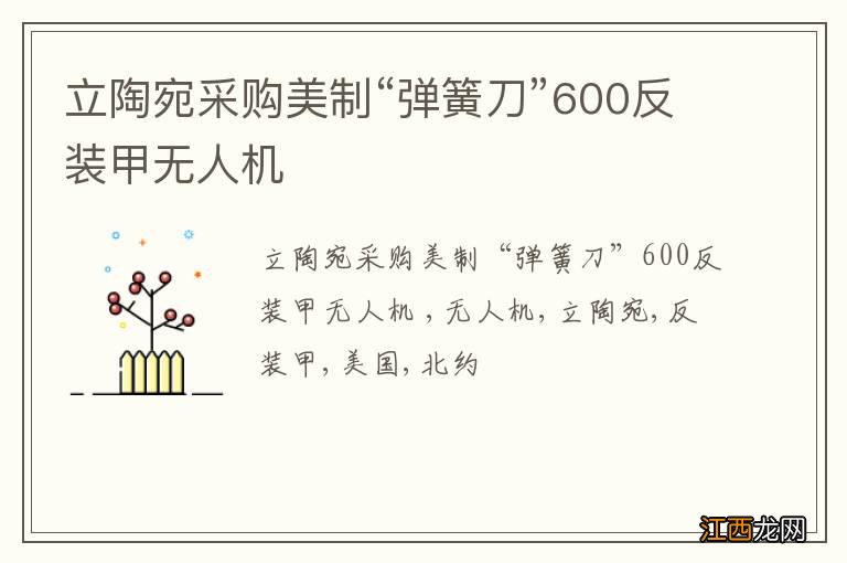 立陶宛采购美制“弹簧刀”600反装甲无人机