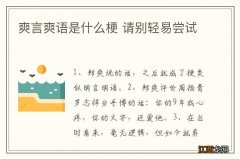 爽言爽语是什么梗 请别轻易尝试