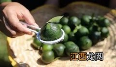 小青柑怎么泡水