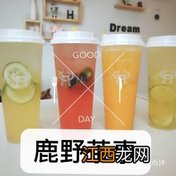 柠檬果醋多久可以吃吗