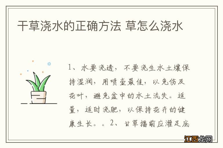 干草浇水的正确方法 草怎么浇水