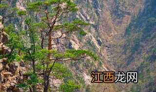 昆明西山海拔多少米 西山海拔多少米