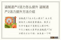 盗贼遗产2活力怎么提升 盗贼遗产2活力提升方法介绍