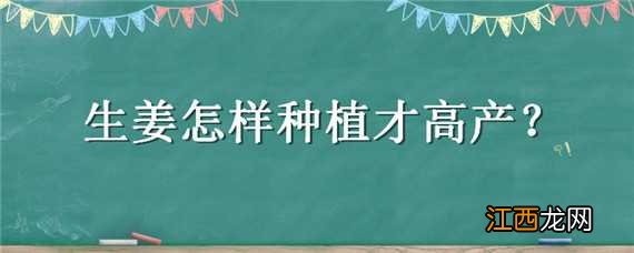 生姜怎样种植才高产