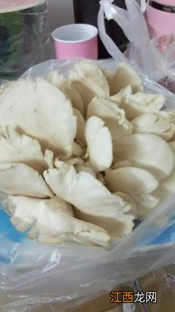 红蘑菇加什么煮汤