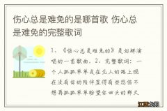 伤心总是难免的是哪首歌 伤心总是难免的完整歌词